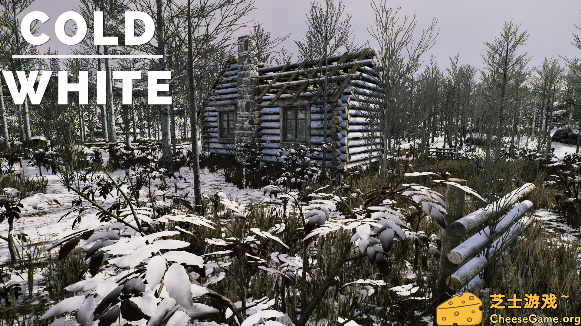 [PC]冷白/The Cold White