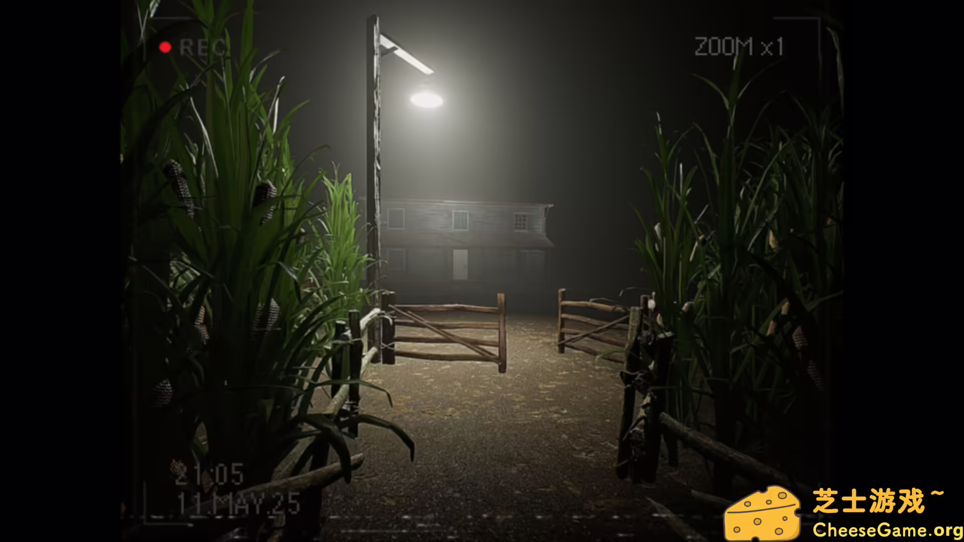 [PC]莉莉出了什么事？/What Happened to Lily?