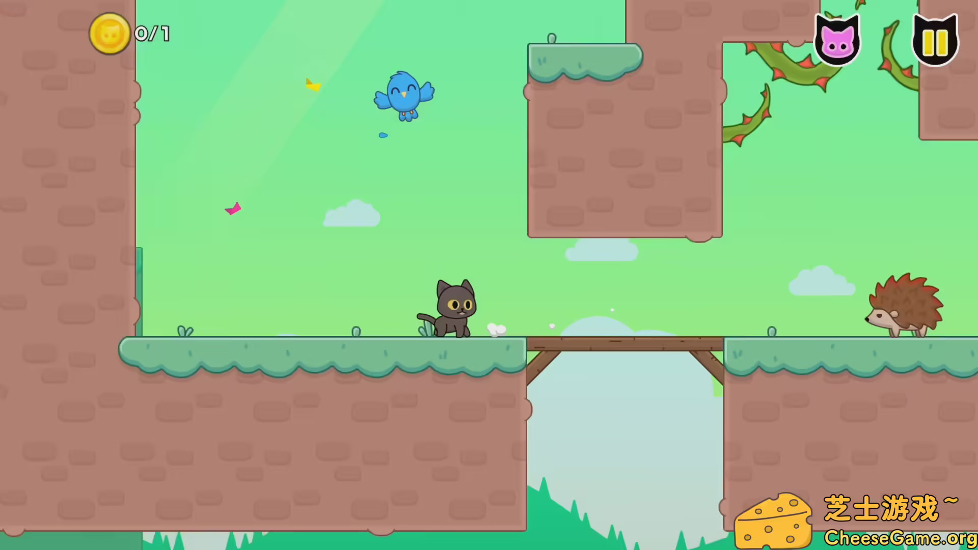 [PC]猫咪爱鸟/Kitty Loves Birds