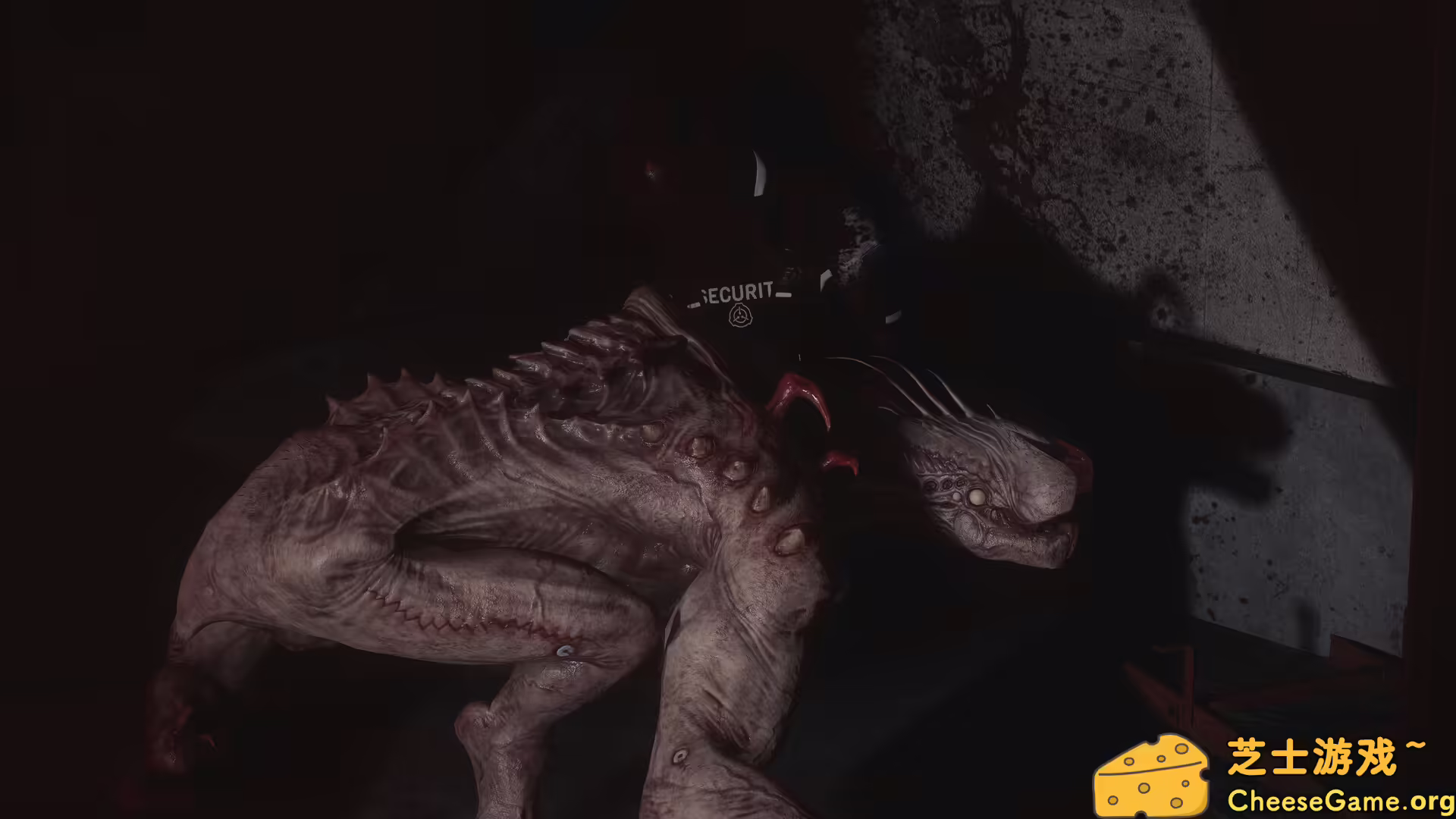 [PC]SCP：大流行病/SCP: 5K