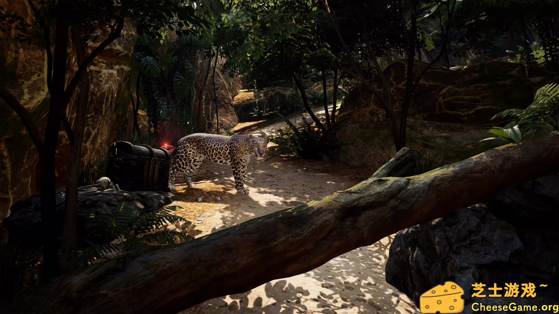 [PC]海盗VR: 海盗旗/Pirates VR: Jolly Roger