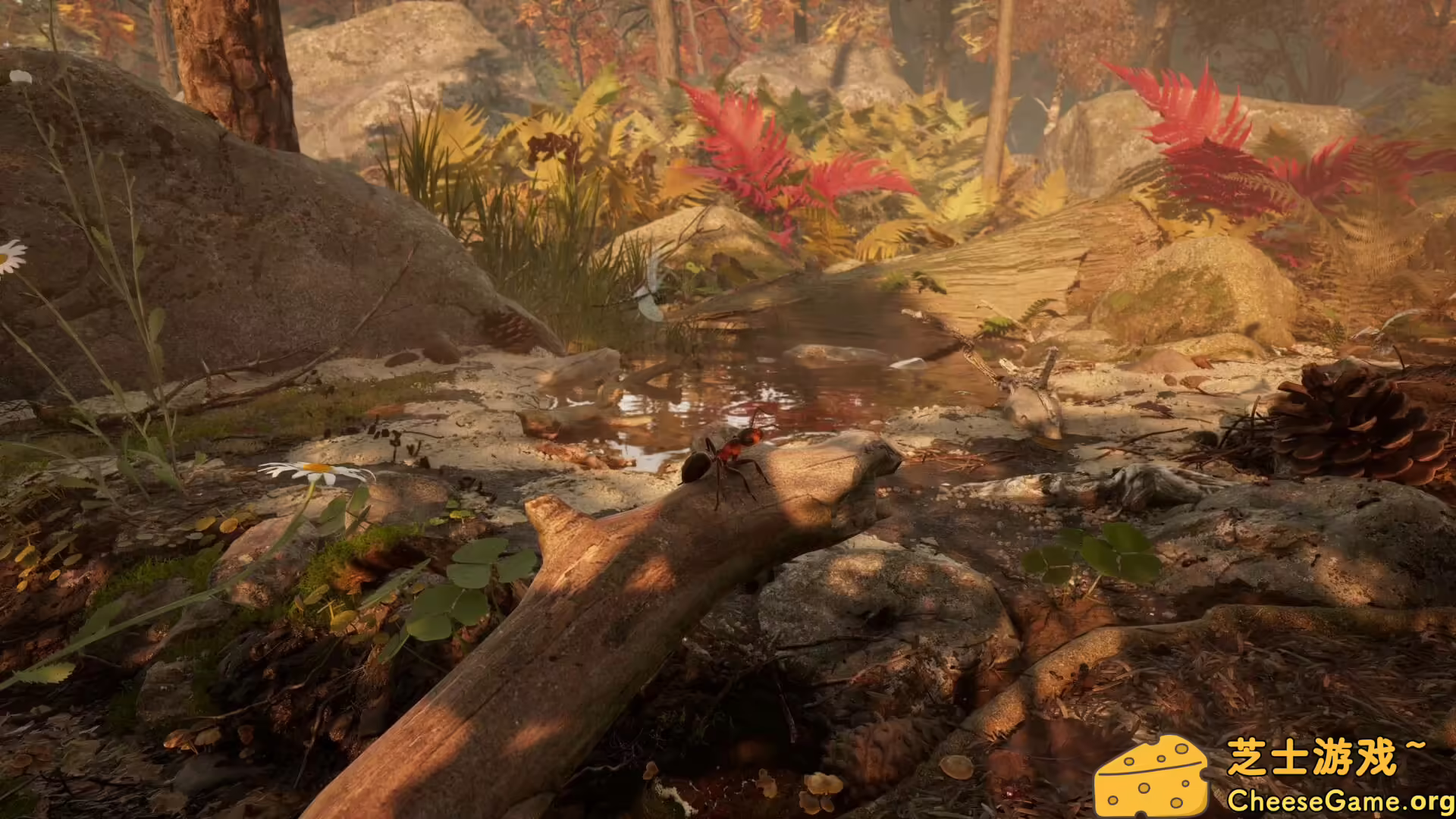 [PC]蚂蚁帝国/Empire of the Ants