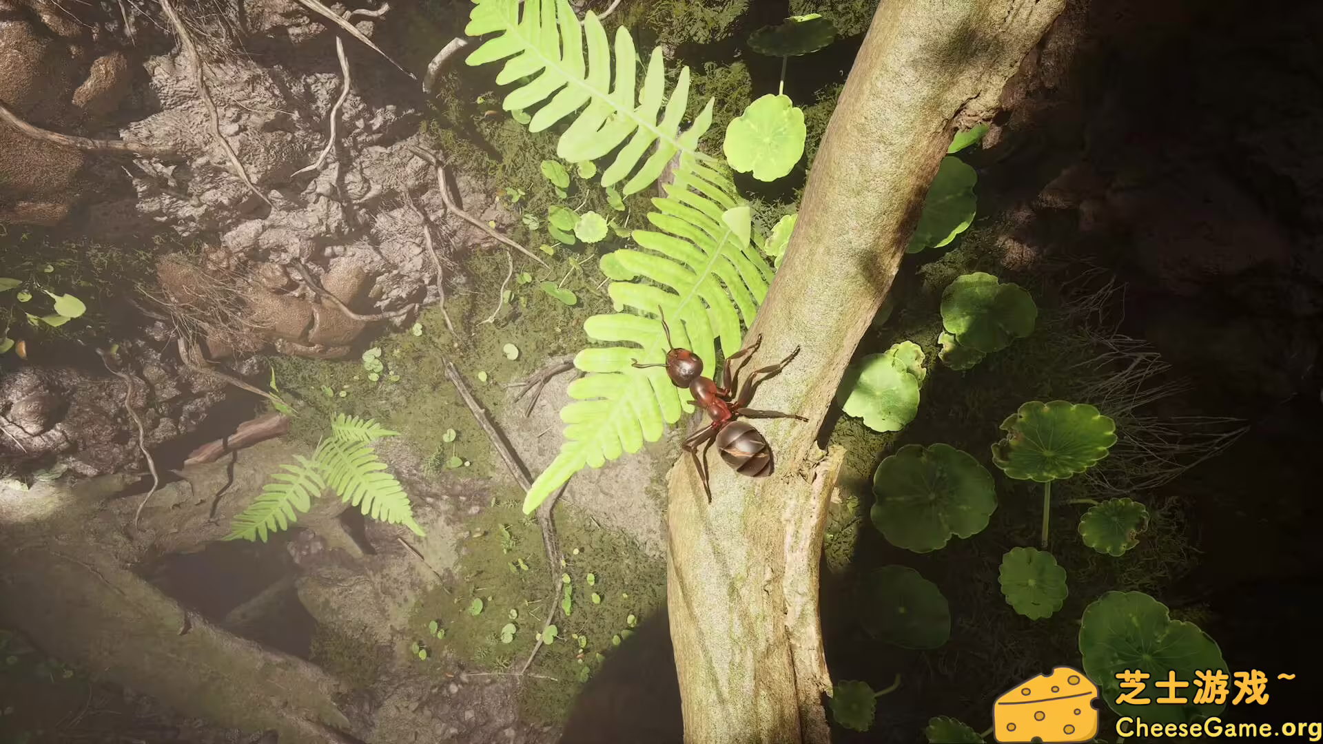 [PC]蚂蚁帝国/Empire of the Ants