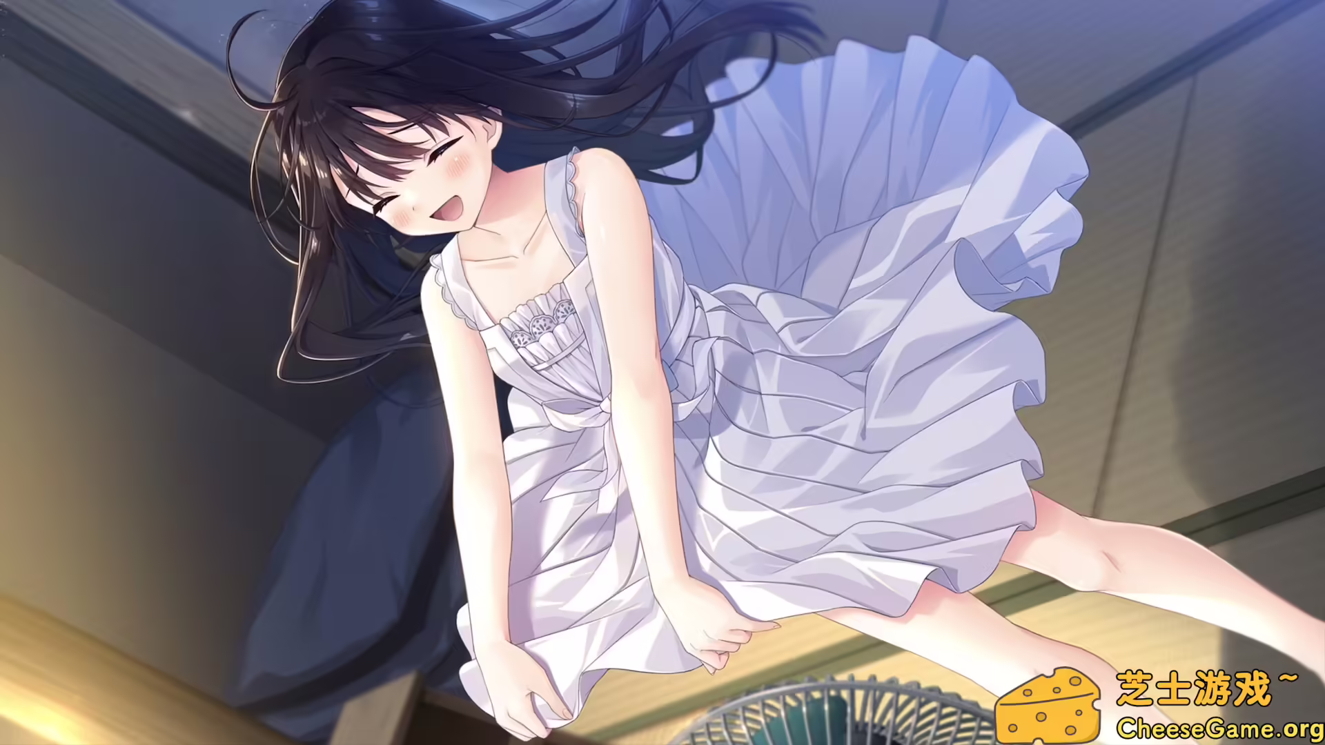 [PC]痴情哥哥与病弱妹妹的乡间生活/Sickly Days and Summer Traces