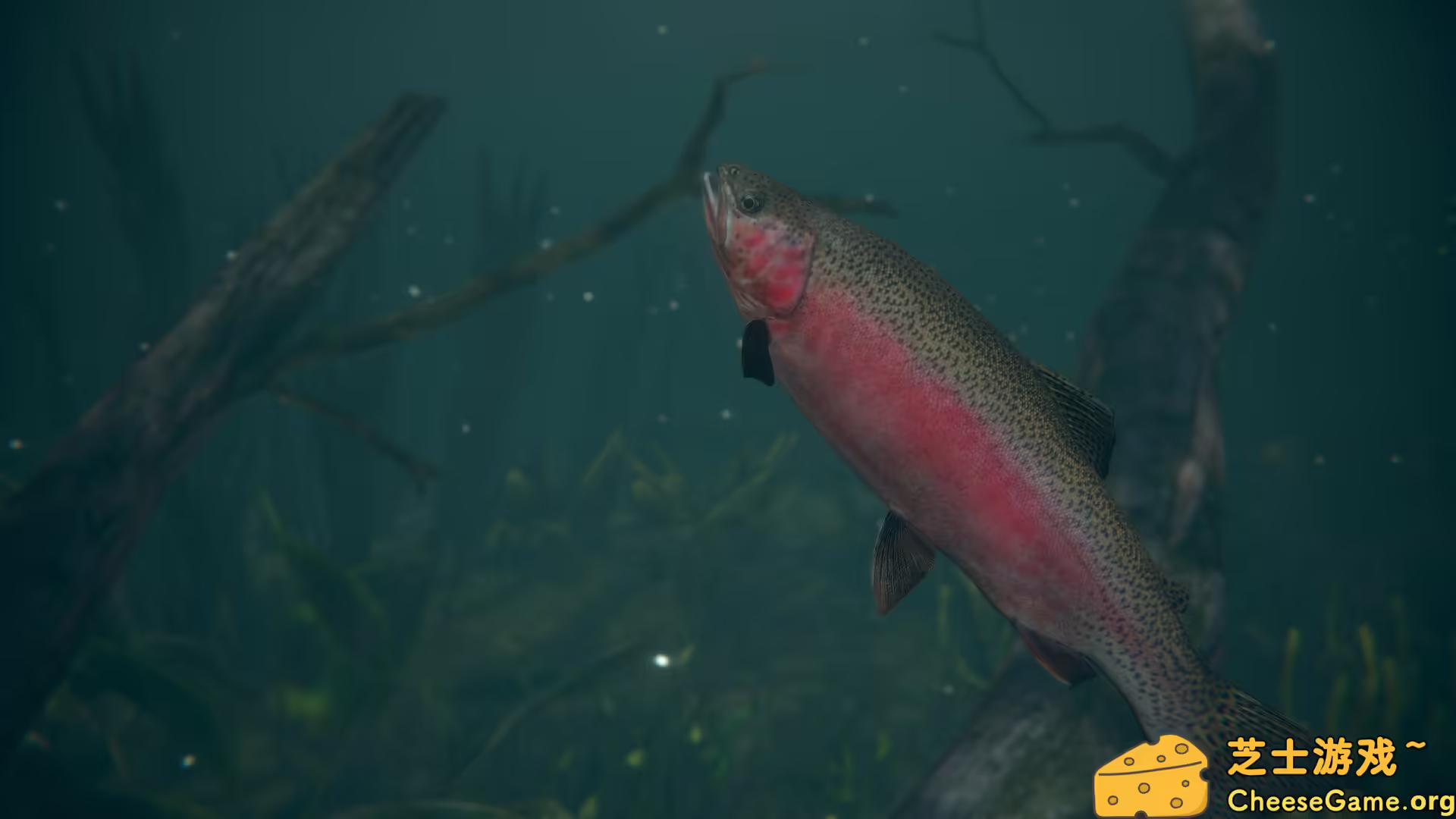 [PC]终极钓鱼模拟器2/Ultimate Fishing Simulator 2