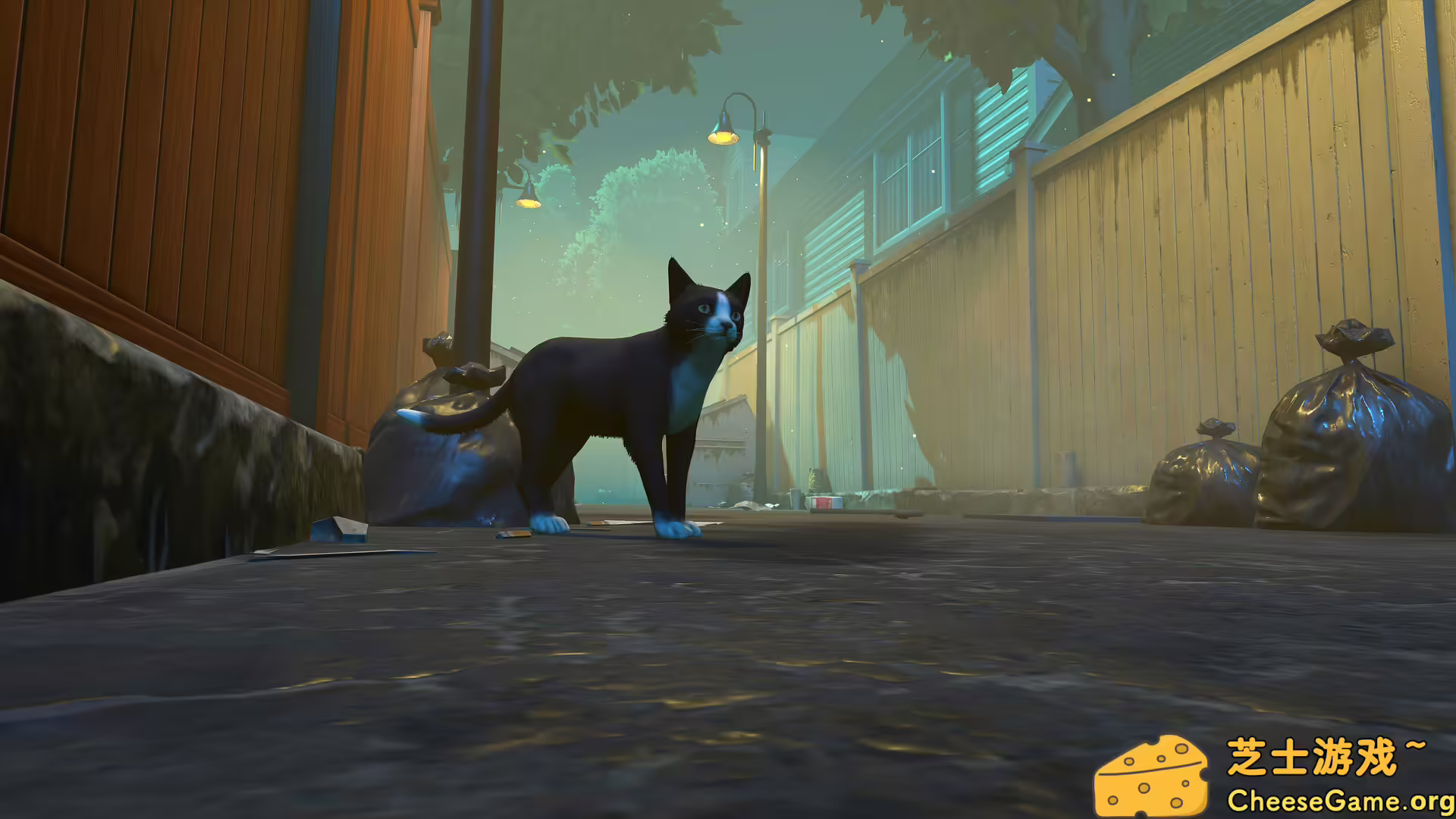 [PC]冒牌猫谜/Copycat