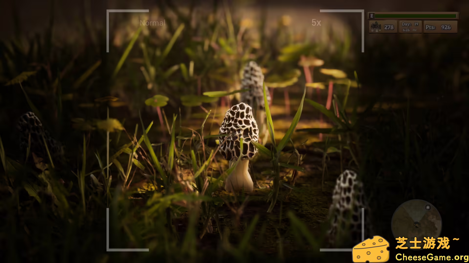 [PC]羊肚菌：狩猎/Morels: The Hunt