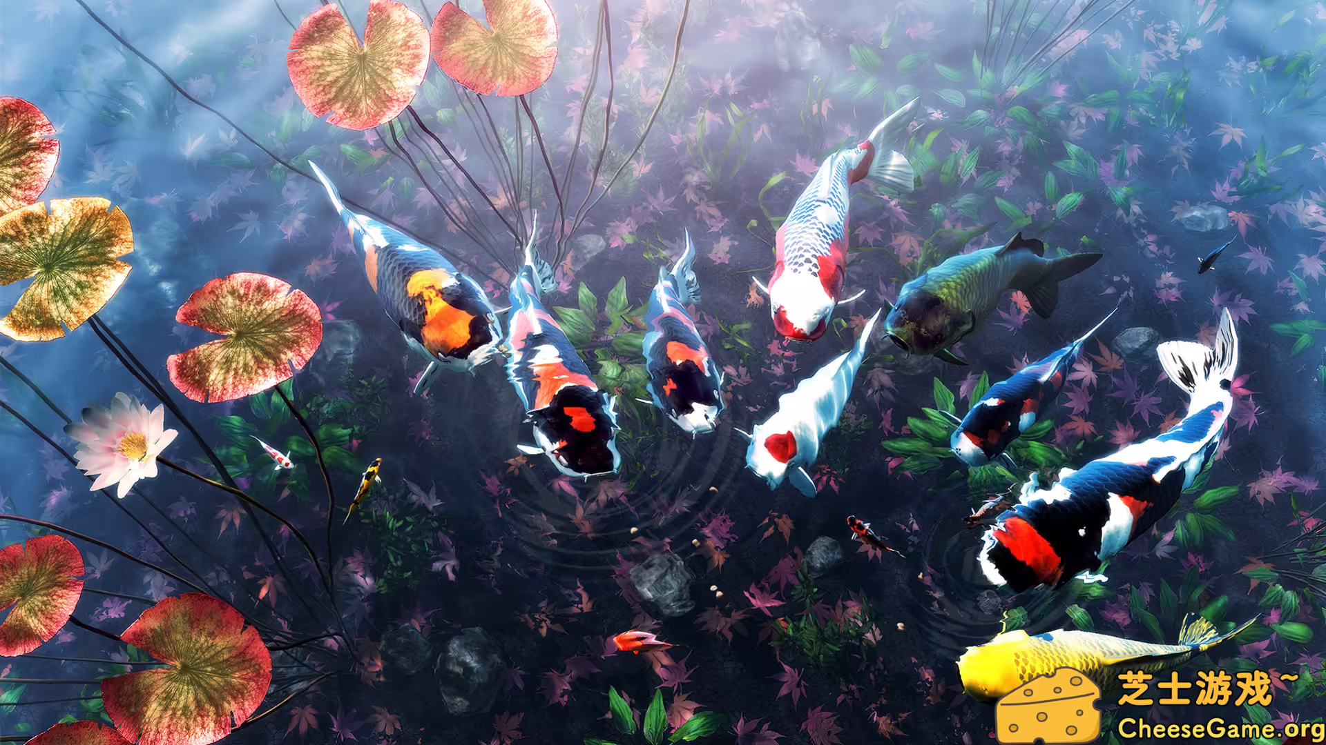 [PC]我的锦鲤/My Koi