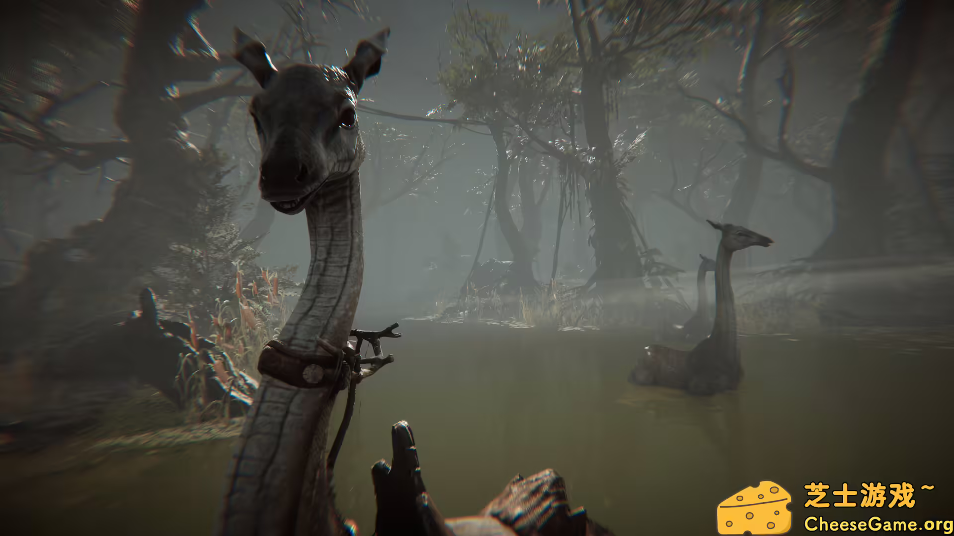 [PC]Amerzone：探险家的记忆传承/Amerzone - The Explorer\'s Legacy