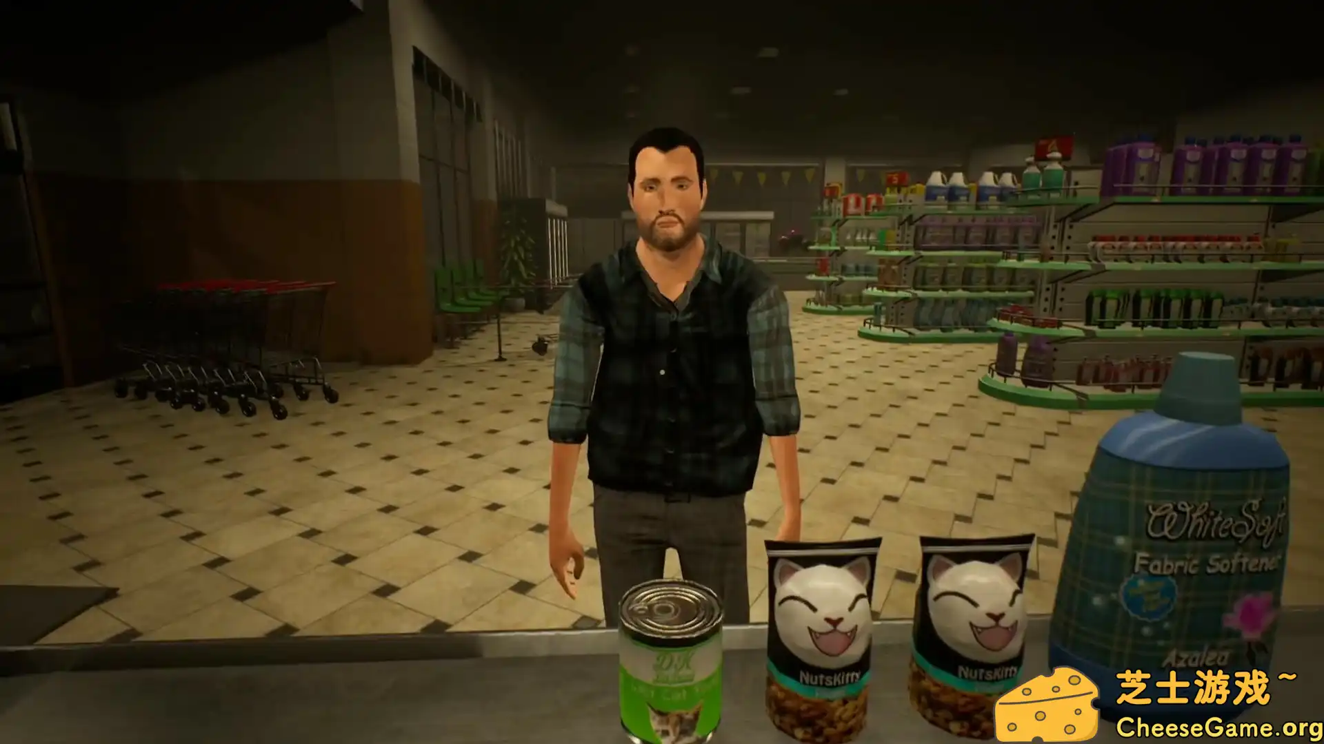 [PC]午夜超市惊魂/Dead of Night: Supermarket