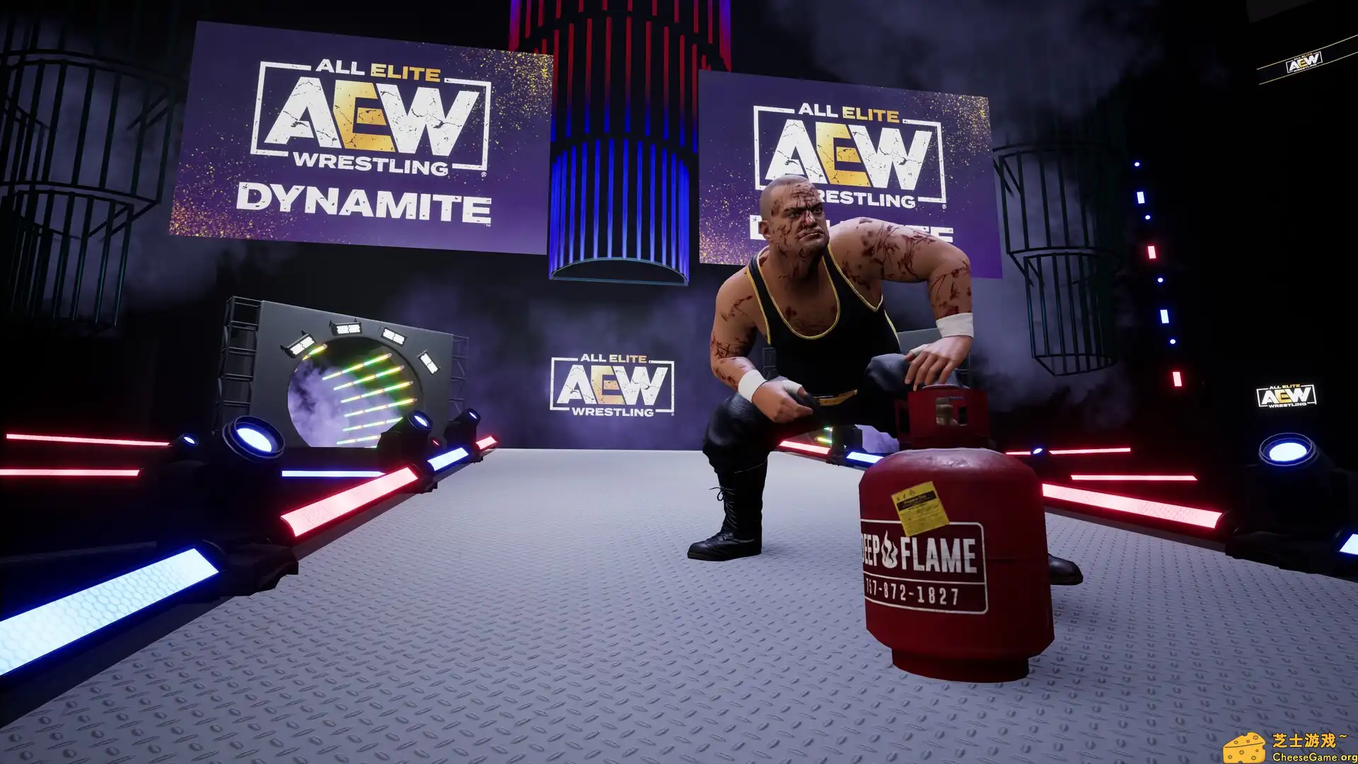 [PC]全精英摔角：永远的战斗/AEW: Fight Forever