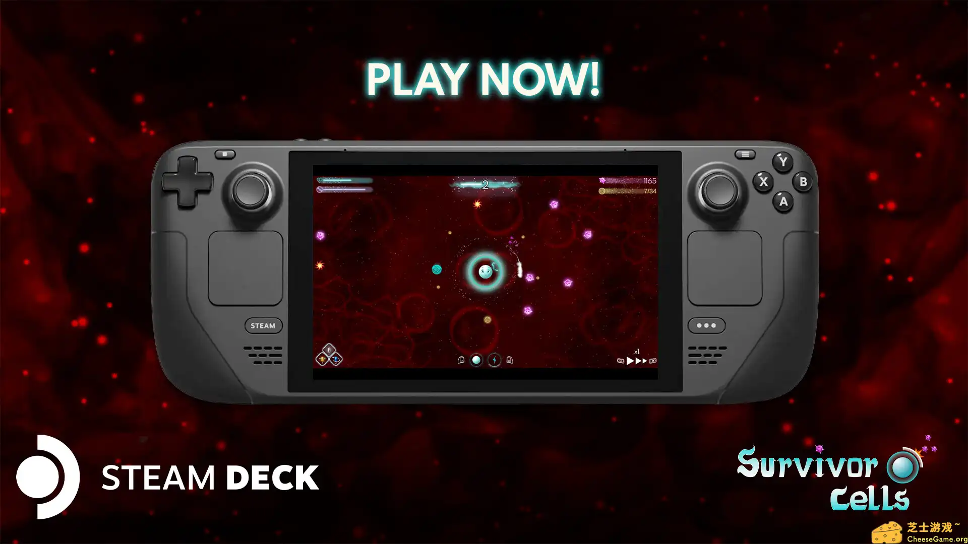 [PC]存活细胞/Survivor Cells