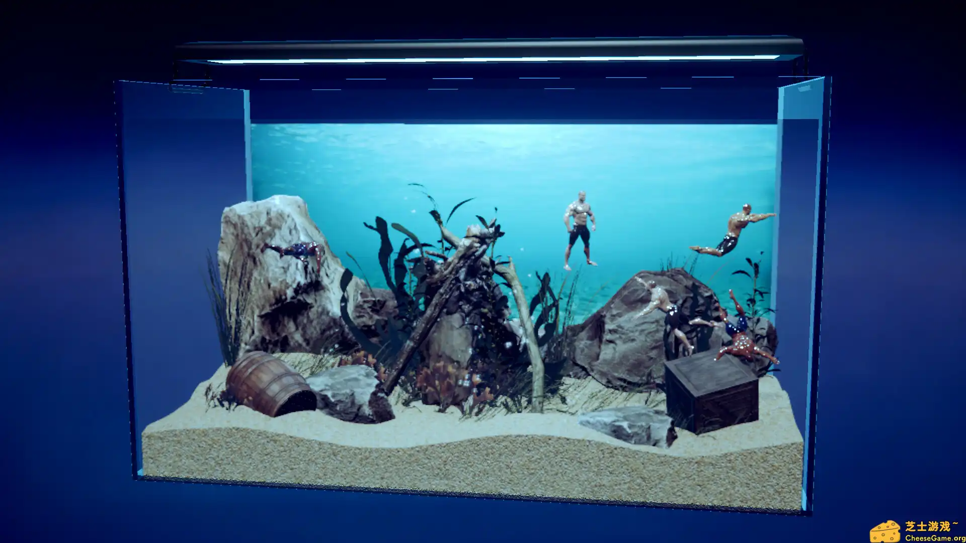 [PC]壮士水族馆 -肌肉水族馆模拟器-/Machorium -Muscle Aquarium Simulator-