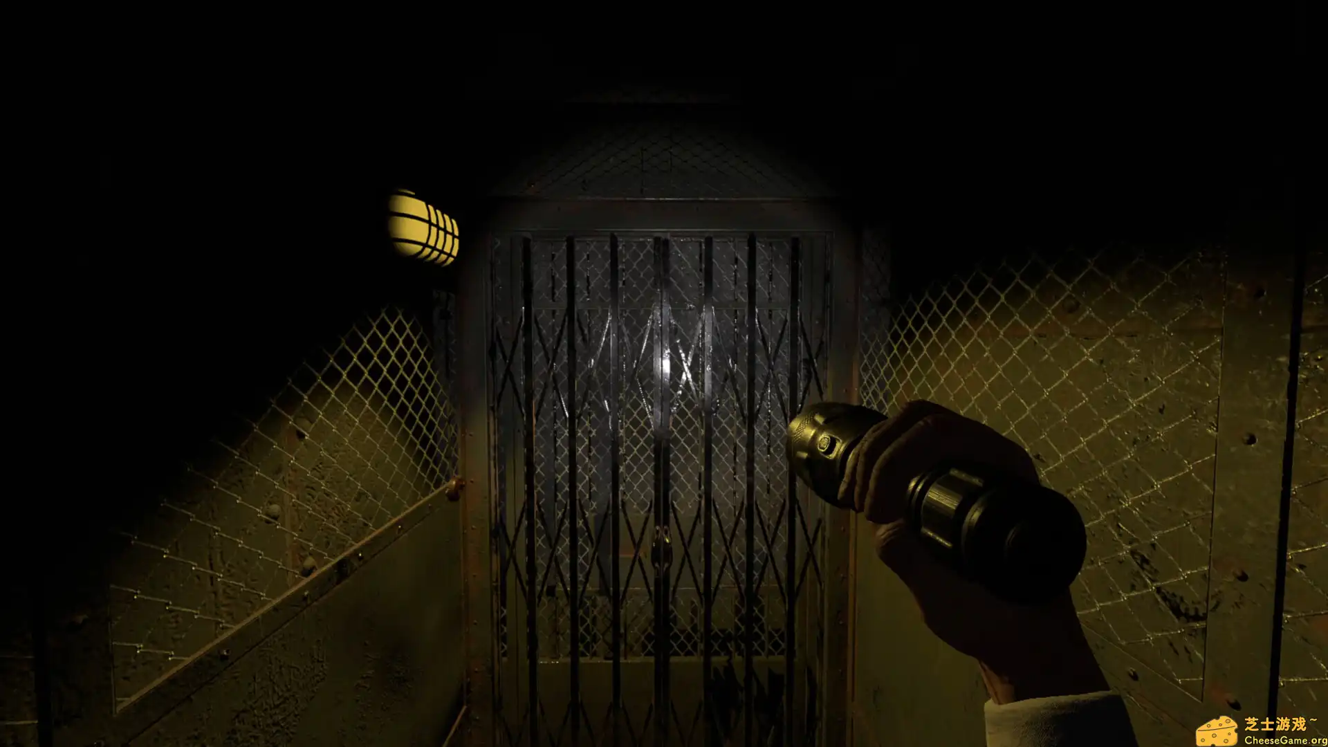 [PC]疯人院噩梦/Asylum Nightmares