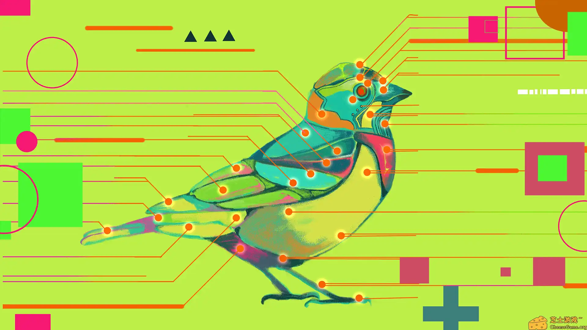 [PC]鸟之谜/Avian Enigma