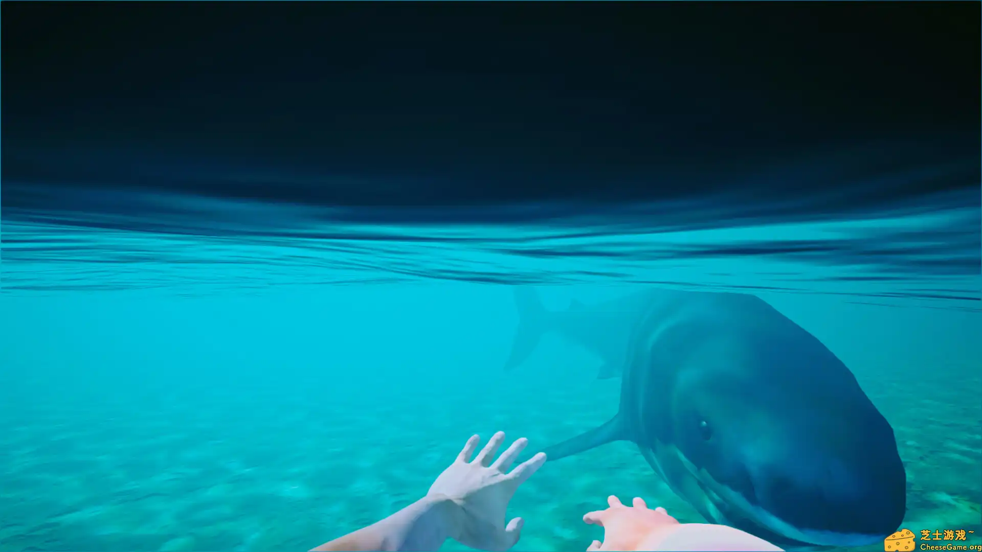 [PC]海滩俱乐部模拟器2024/Beach Club Simulator 2024