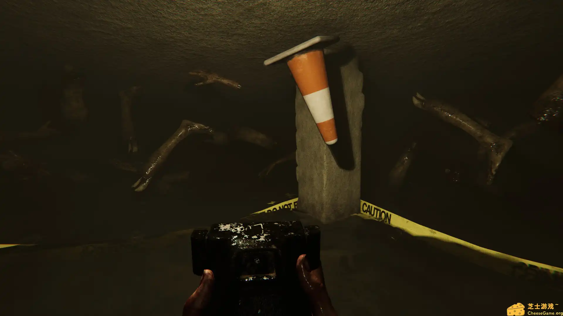 [PC]麦迪逊/MADiSON