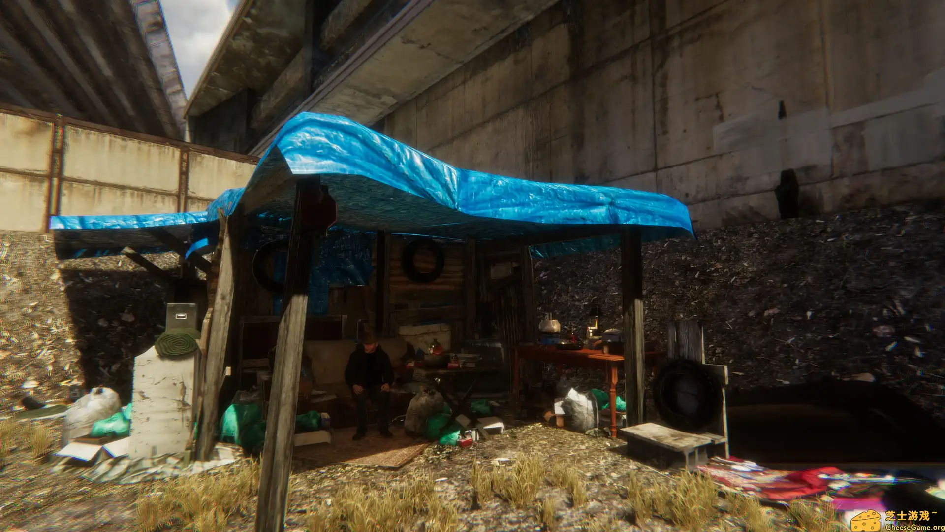 [PC]乞丐模拟器/流浪汉：艰难的生活/Hobo: Tough Life/支持网络联机