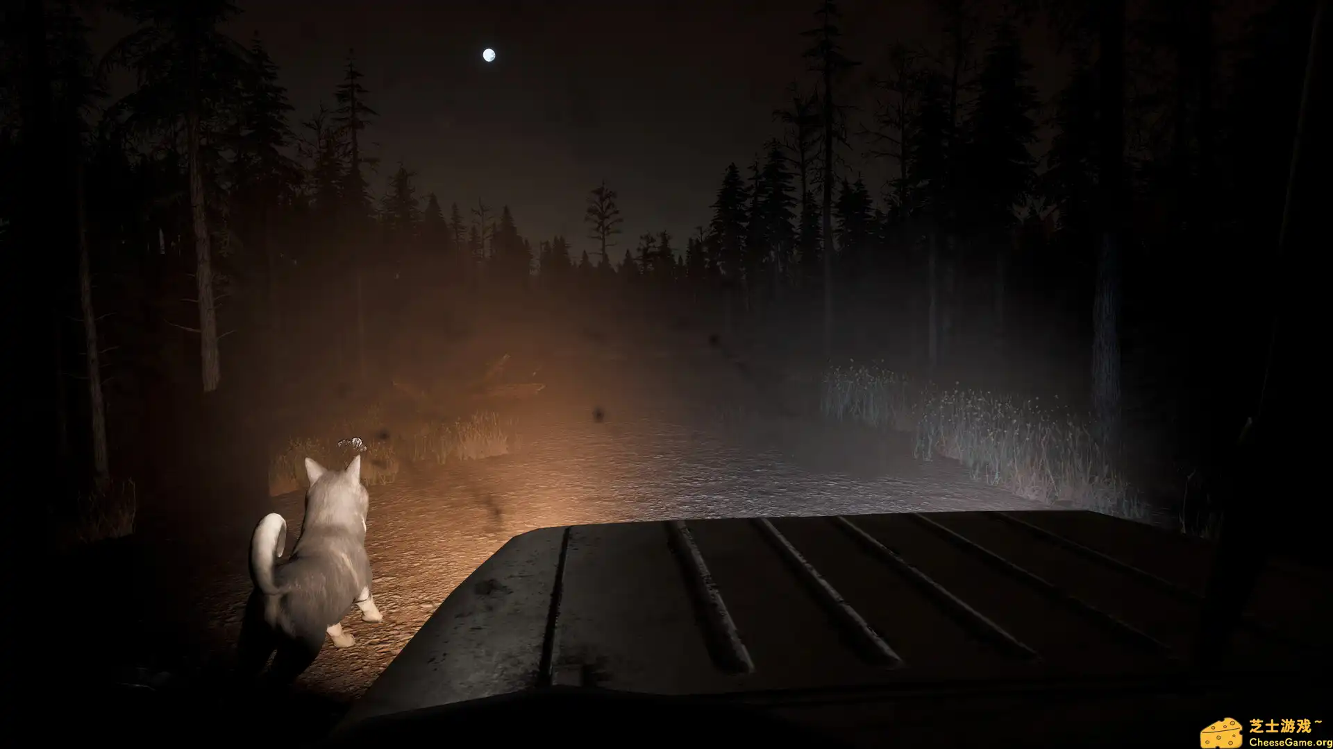 [PC]赛特的诅咒/Setteeh