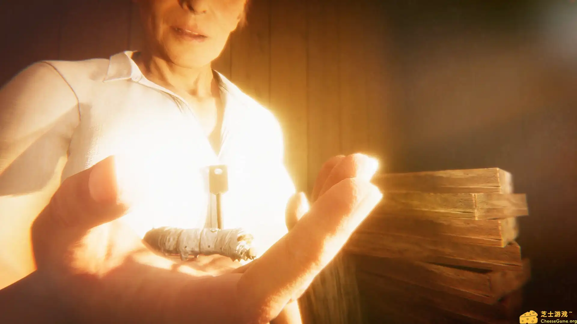 [PC]茧中蚕/Hollow Cocoon