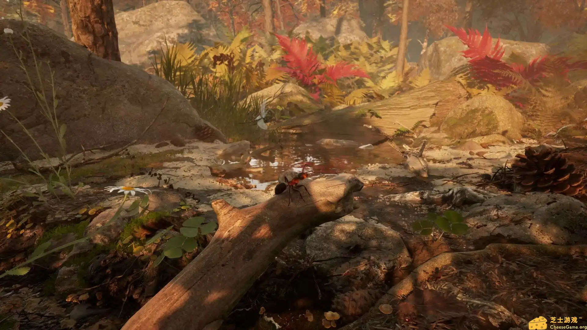 [PC]蚂蚁帝国/Empire of the Ants/支持网络联机