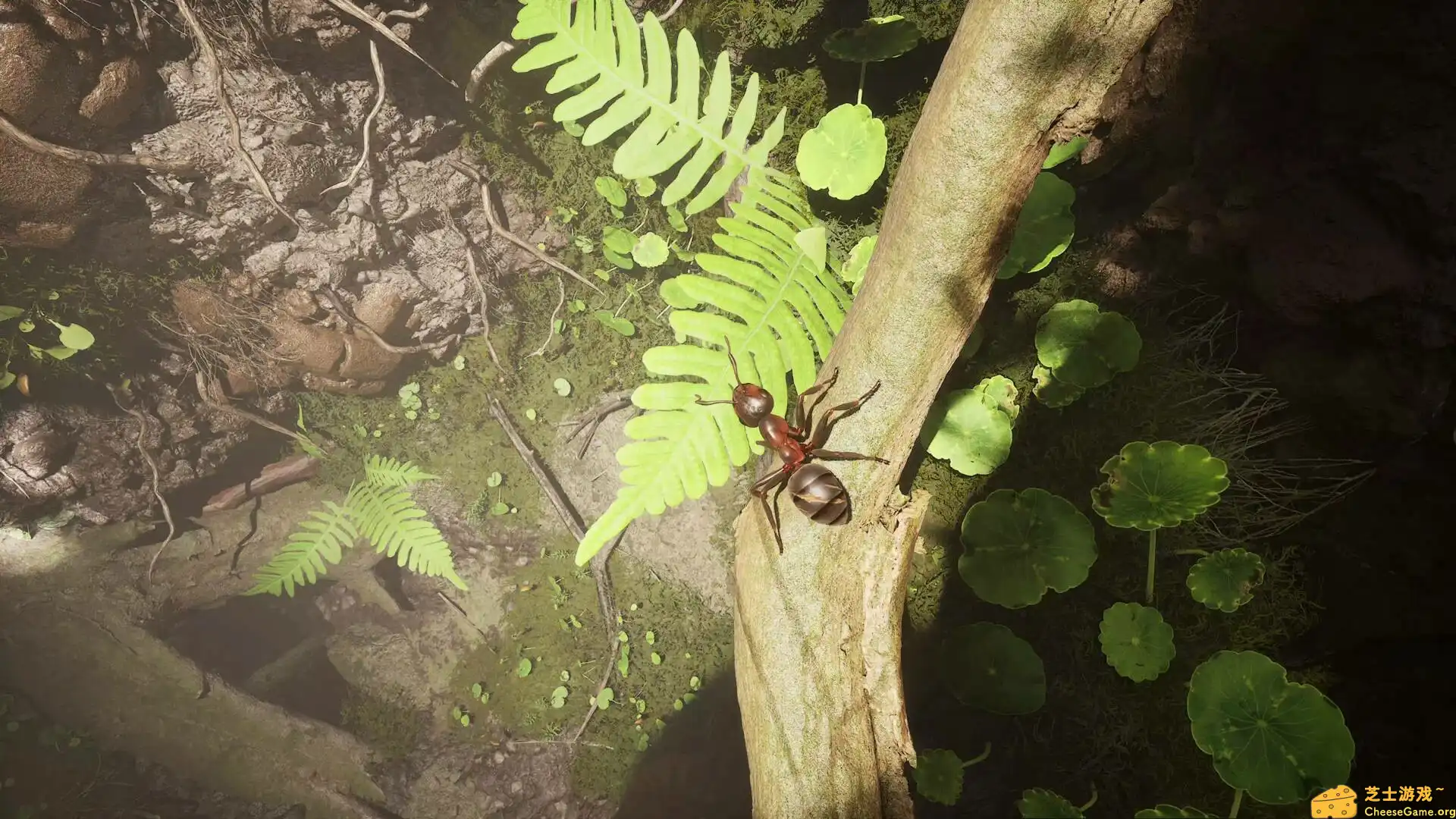 [PC]蚂蚁帝国/Empire of the Ants/支持网络联机