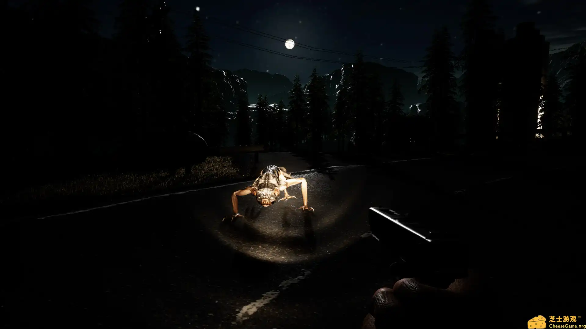 [PC]无政府状态： 沃尔夫定律/Anarchy: Wolf\'s law