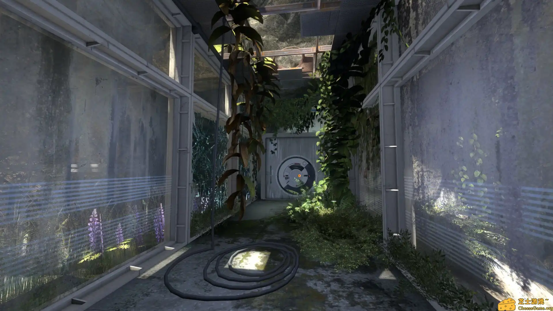 [PC]传送门：进化/Portal: Revolution