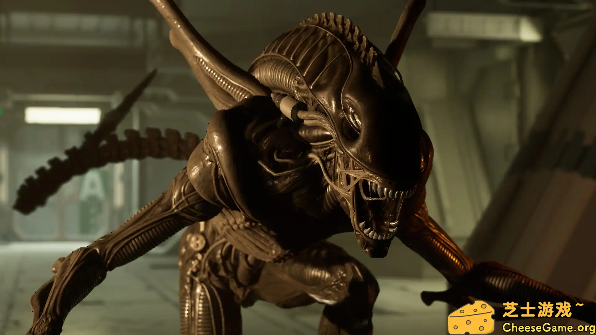 [PC]异形：侠盗入侵/Alien: Rogue Incursion/支持VR