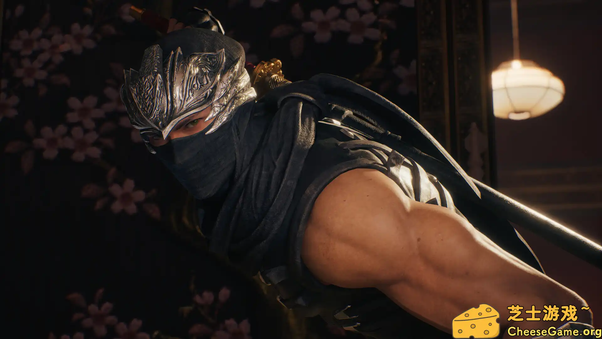 [PC]忍者龙剑传2：黑之章/NINJA GAIDEN 2 Black