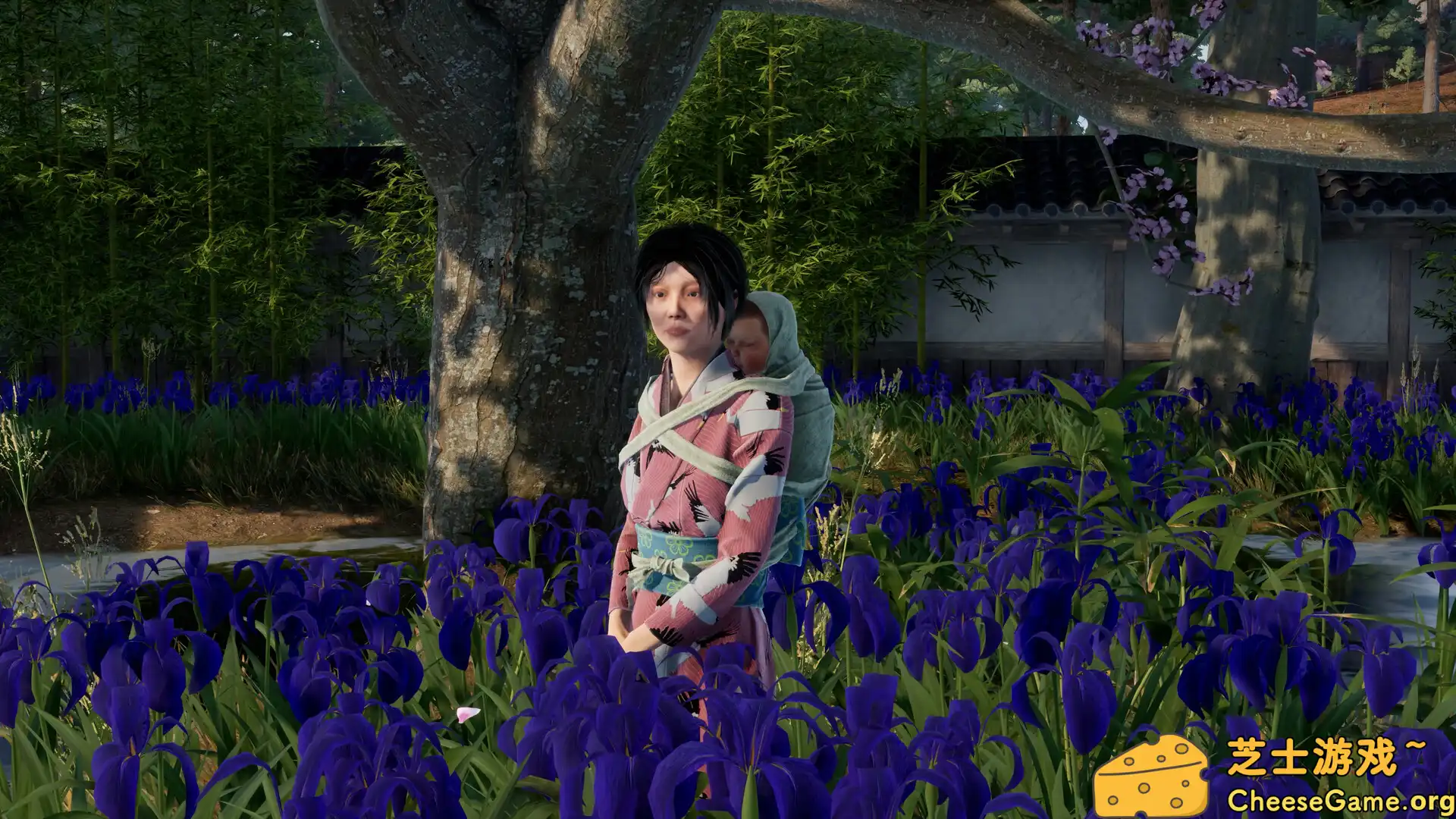 [PC]战国王朝/Sengoku Dynasty/支持网络联机