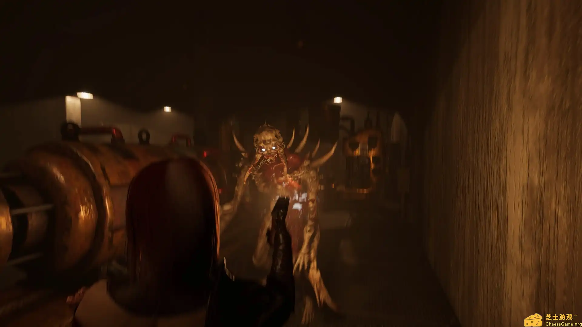 [PC]绝望：血之诅咒/Despair: Blood Curse