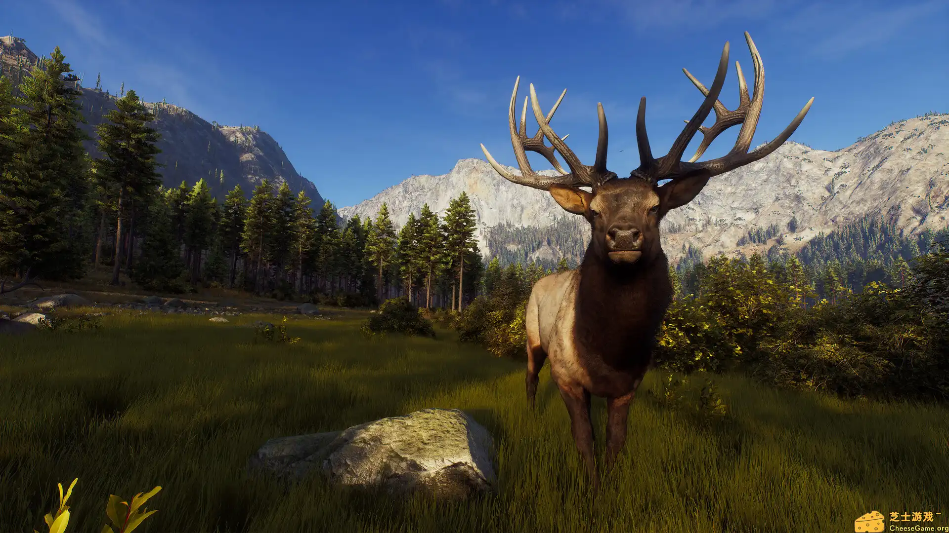 [PC]狩猎之道/猎人之路/Way of the Hunter/支持网络联机