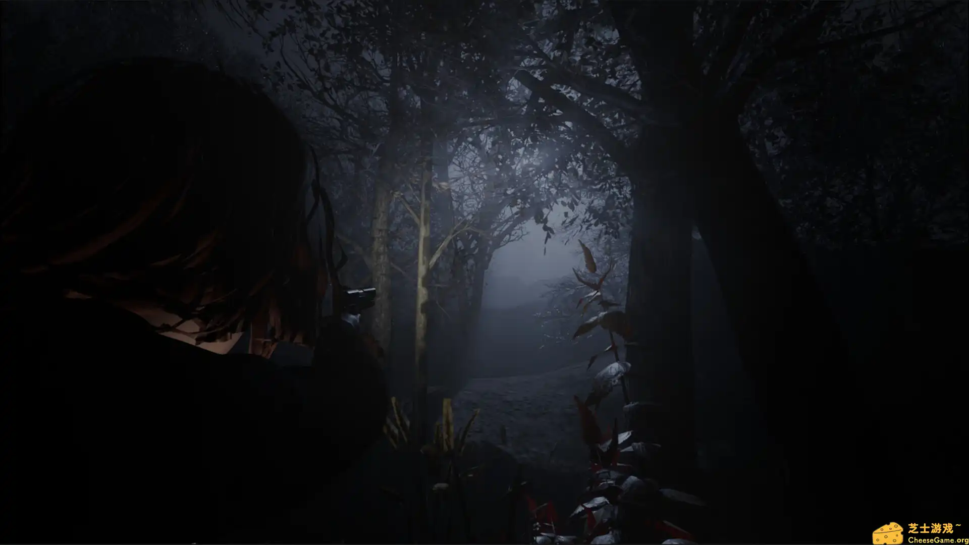 [PC]黎明教派/Cult of Dawn