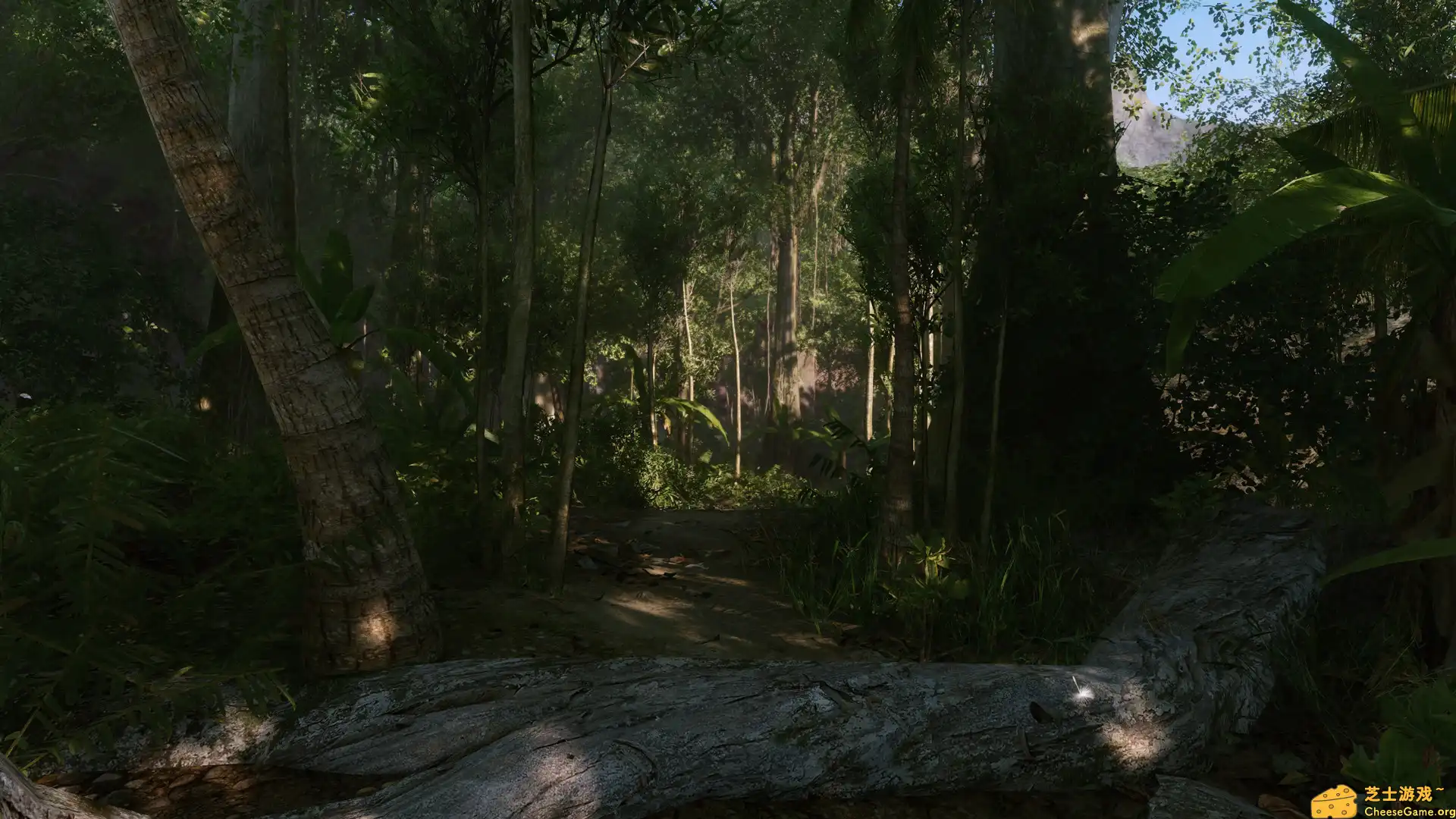 [PC]孤岛危机：重制版/Crysis Remastered