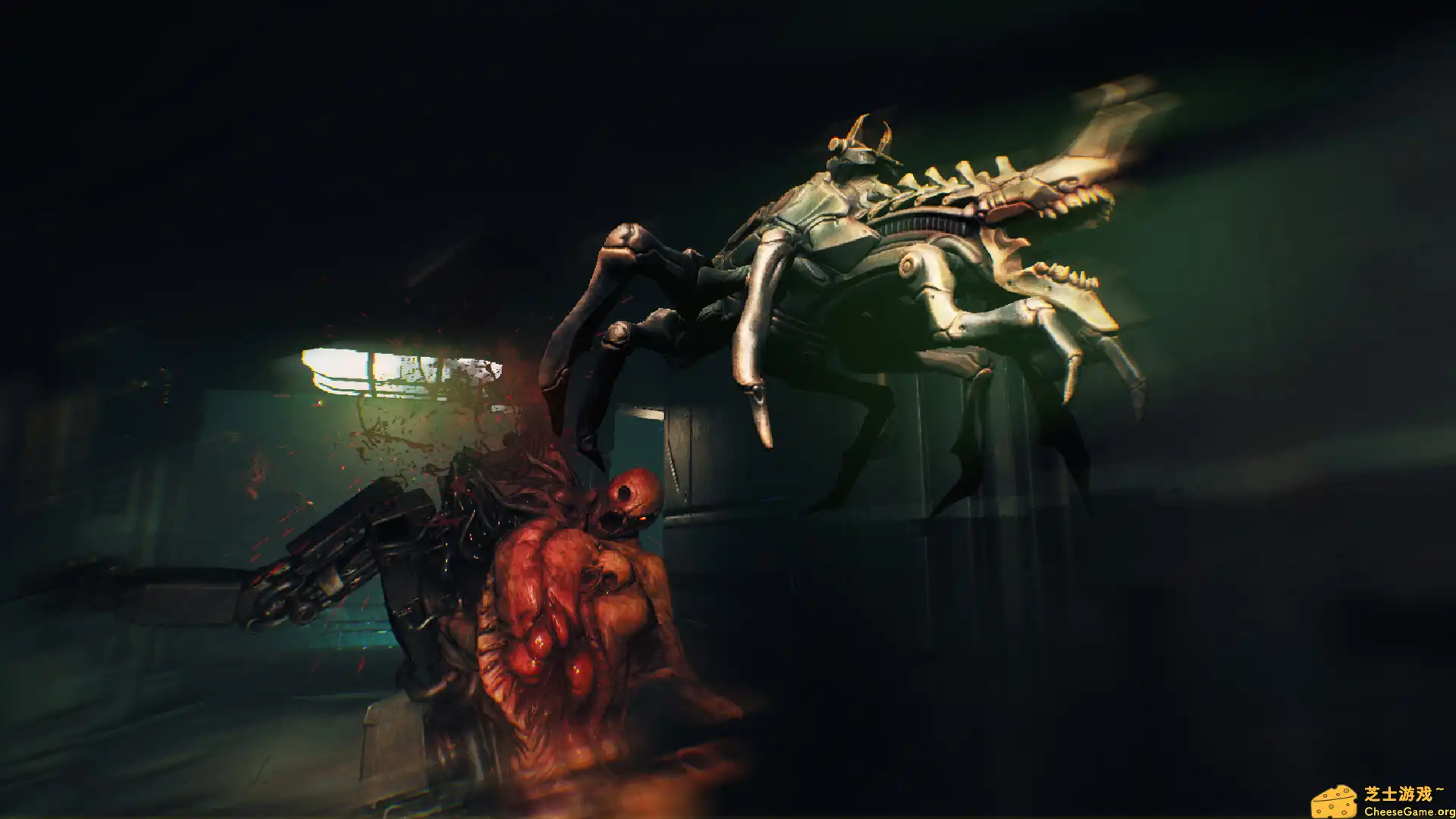 [PC]撕裂/RIPOUT/支持网络联机