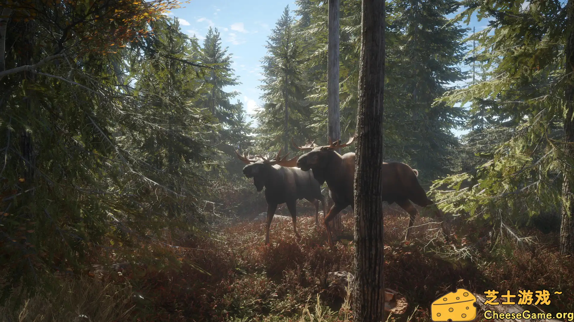 [PC]猎人：荒野的召唤/theHunter: Call of the Wild/支持网络联机