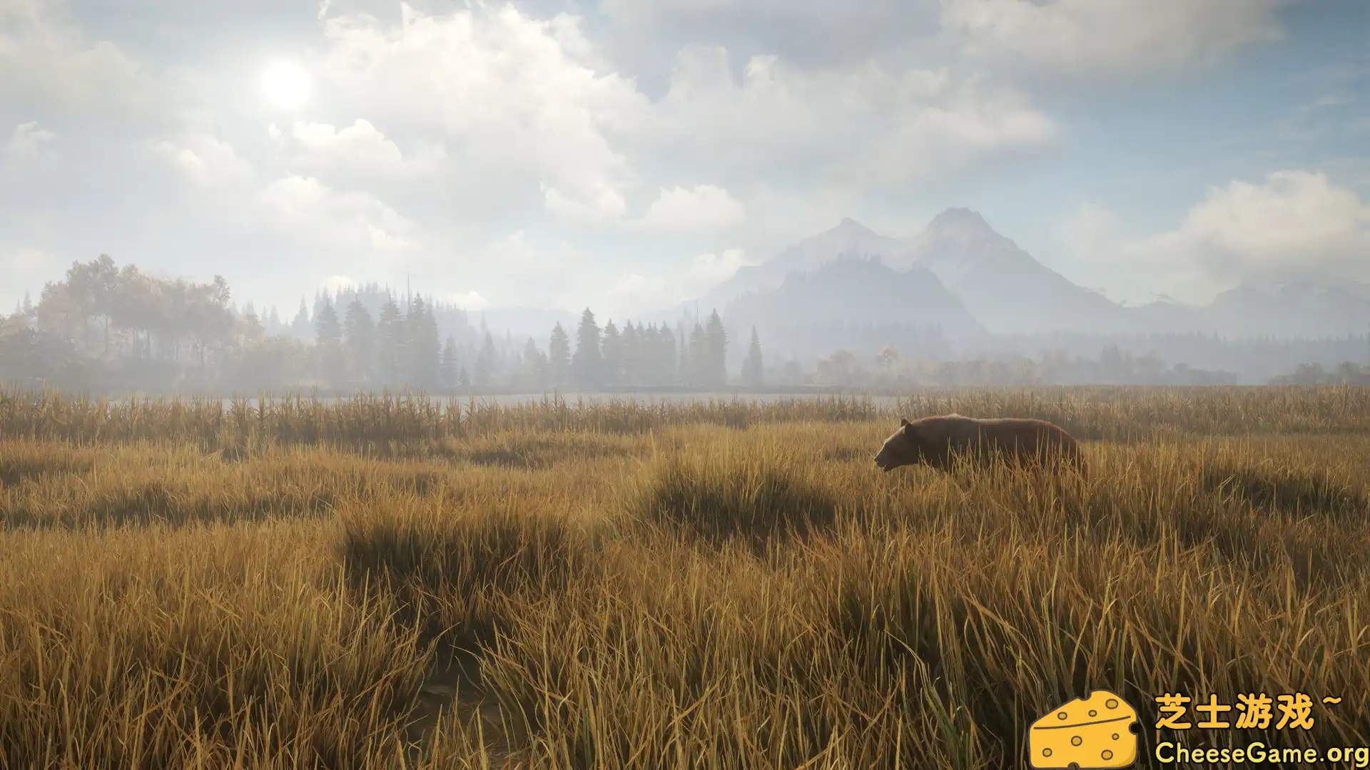 [PC]猎人：荒野的召唤/theHunter: Call of the Wild/支持网络联机