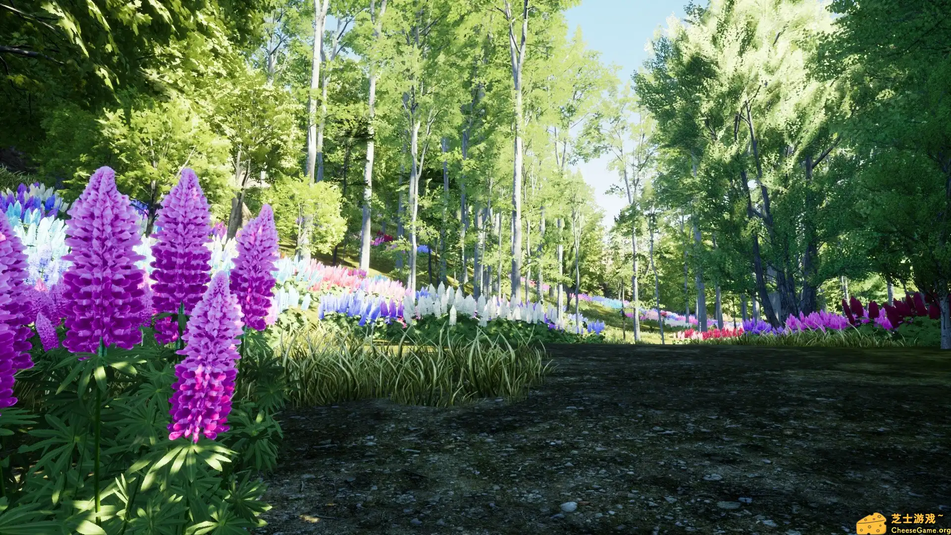 [PC]自然猎人/Nature Hunter