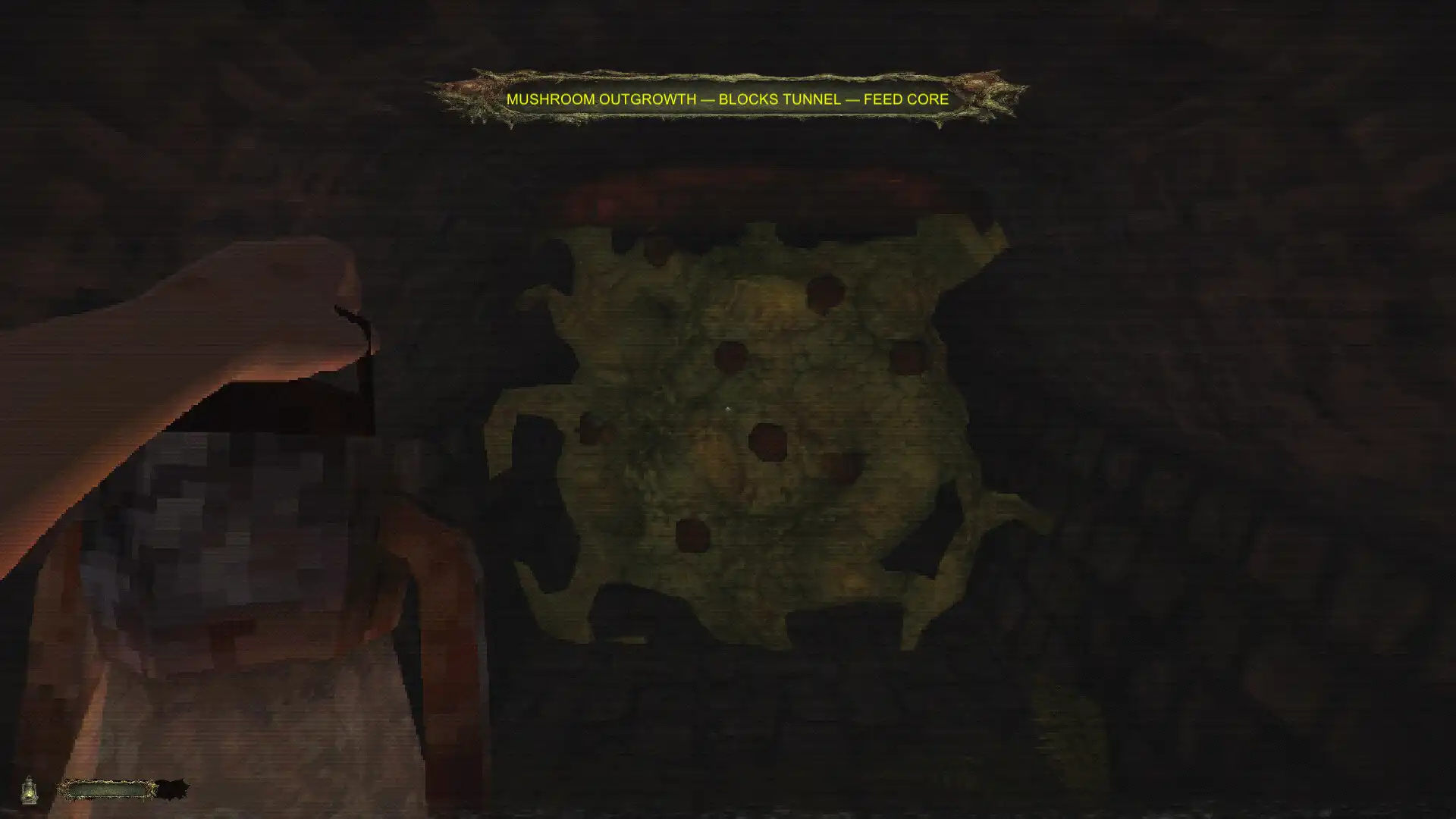 图片[2]-[PC]CHWÆST：寄生恐怖来袭/CHWÆST: A Creeping Parasite Horror