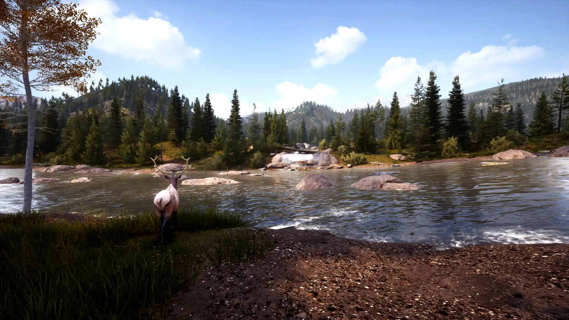 图片[4]-[PC]模拟狩猎2/Hunting Simulator 2