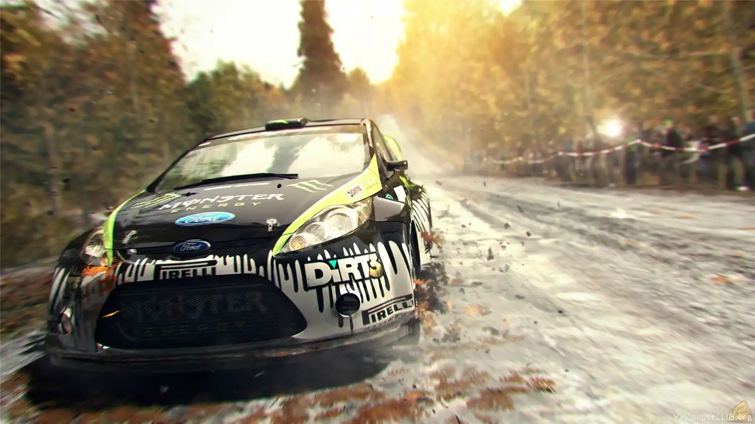 图片[6]-[PC]尘埃3/DiRT 3
