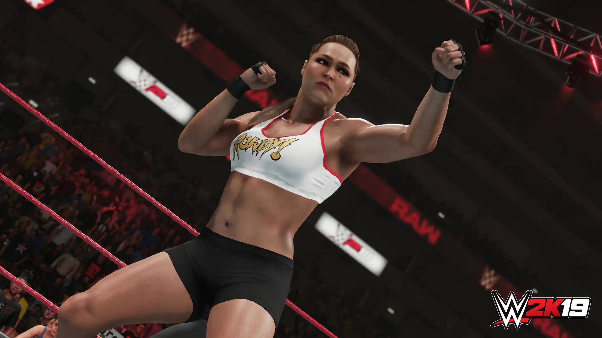 图片[1]-[PC]WWE 2K19/美国职业摔角联盟2K19