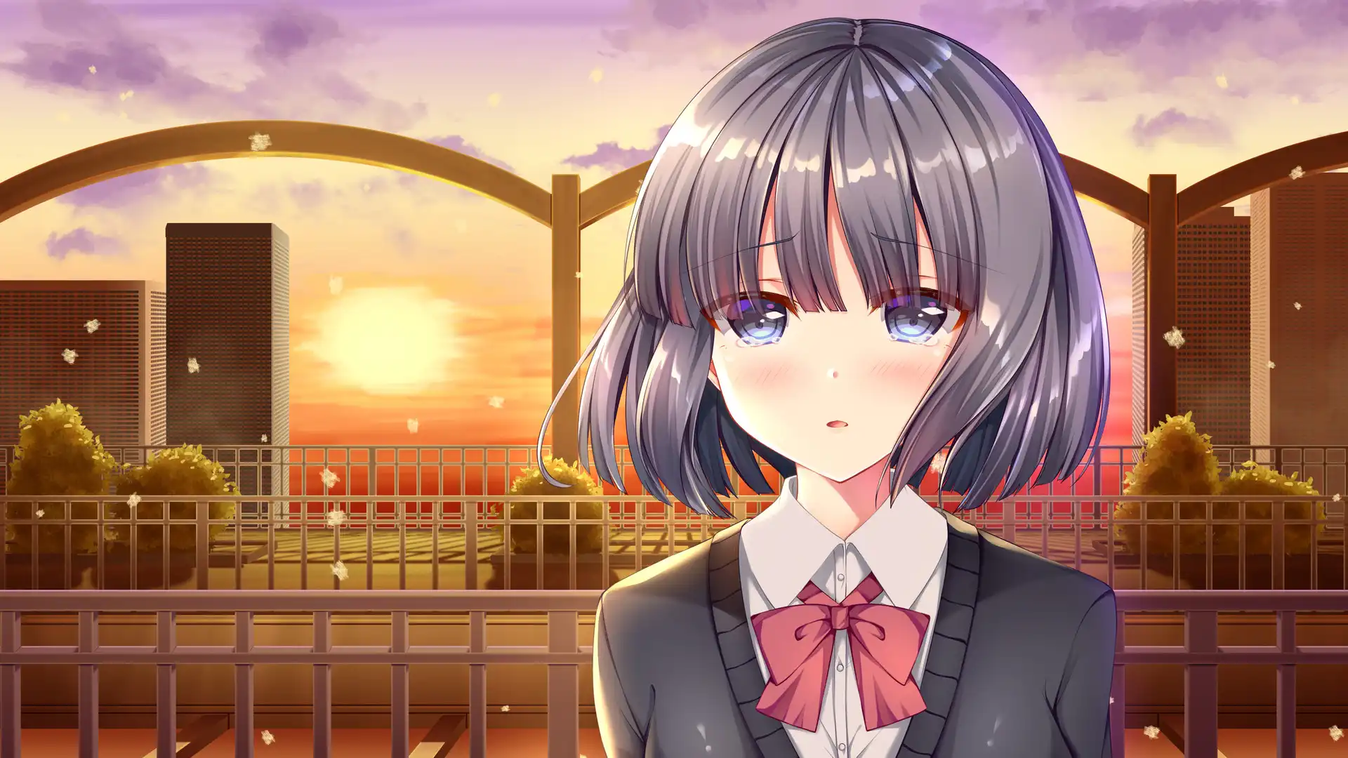 图片[2]-[PC]白色之翼/White Wings