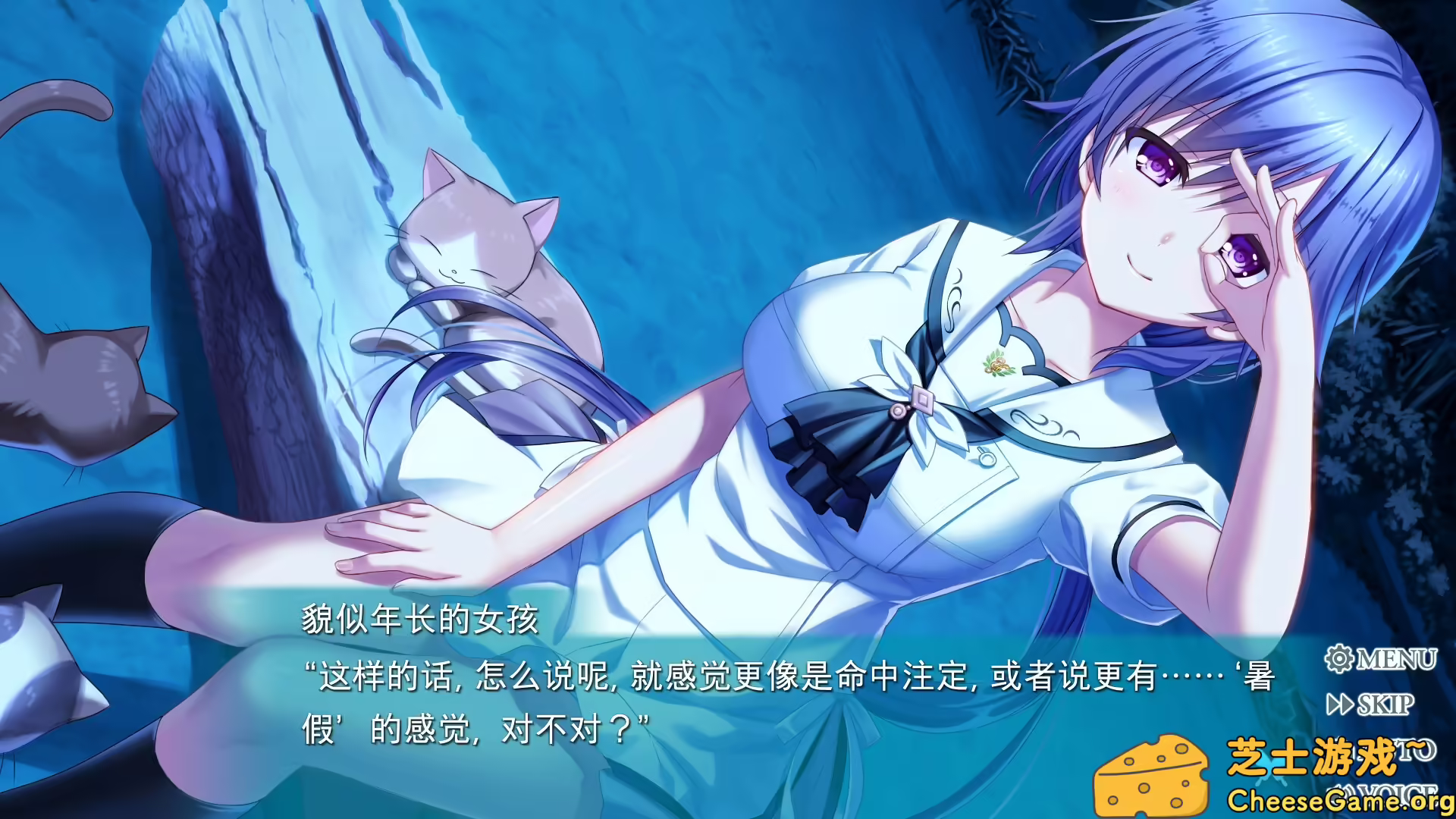 图片[6] [PC]夏日口袋：流光蓝/Summer Pockets REFLECTION BLUE | 学习版单机游戏免费下载