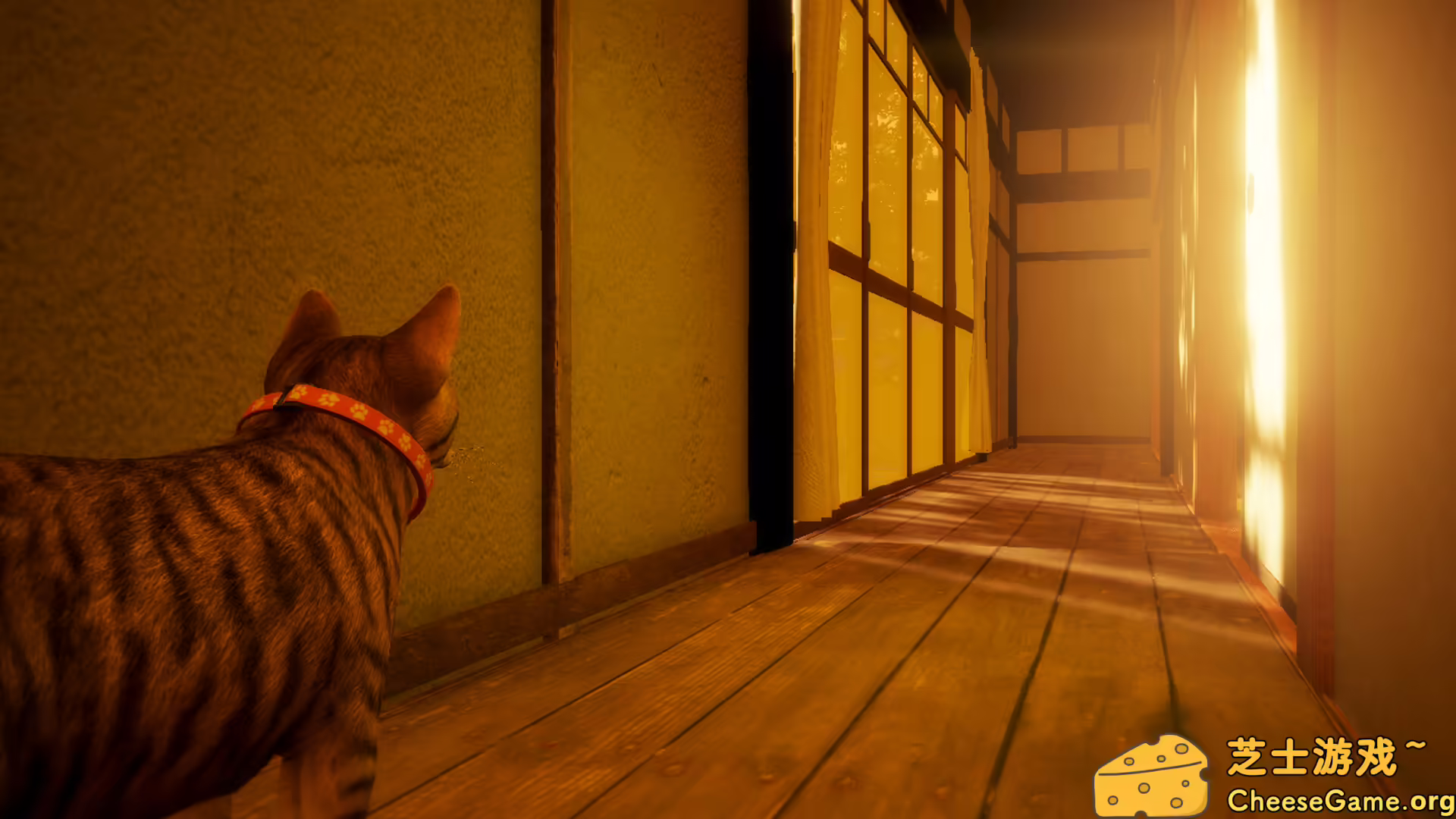 图片[2]-[PC]猫还在逃吗？/Still It Runs