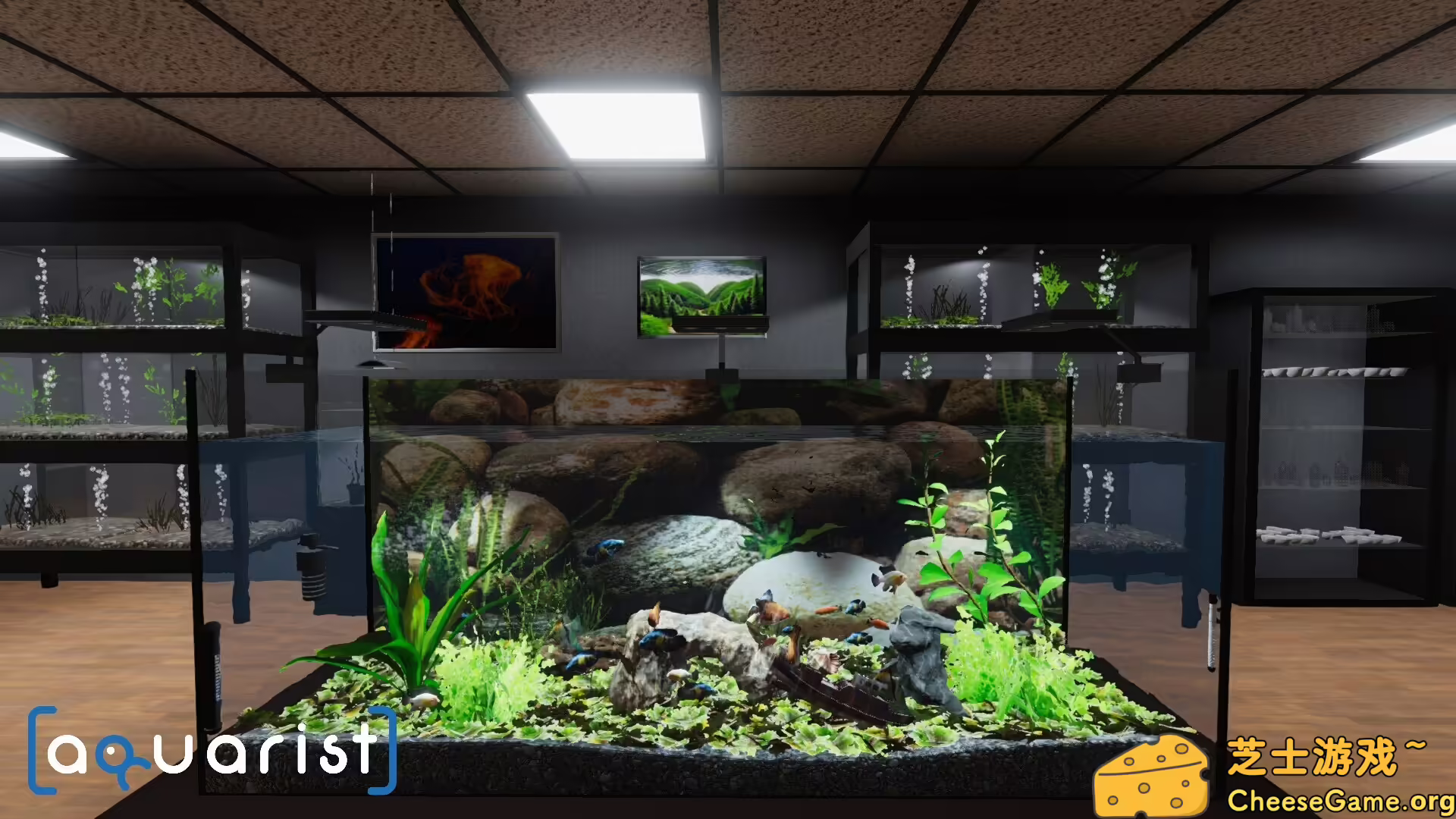 [PC]Aquarist - 建造水族馆，养鱼，发展你的事业！