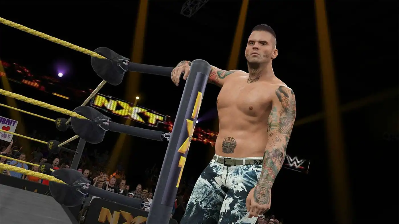 图片[3]-[PC]WWE 2K15/美国职业摔角联盟2K15