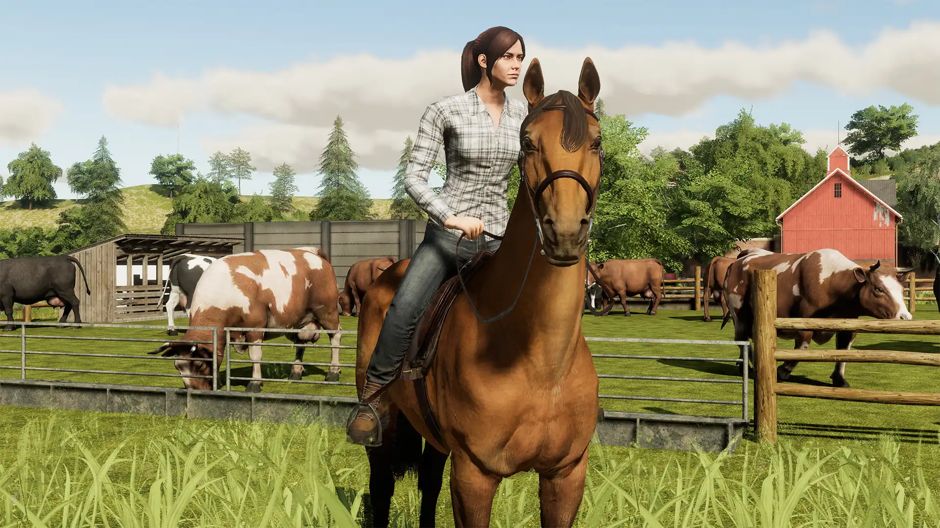图片[3]-[PC]模拟农场19/Farming Simulator 19
