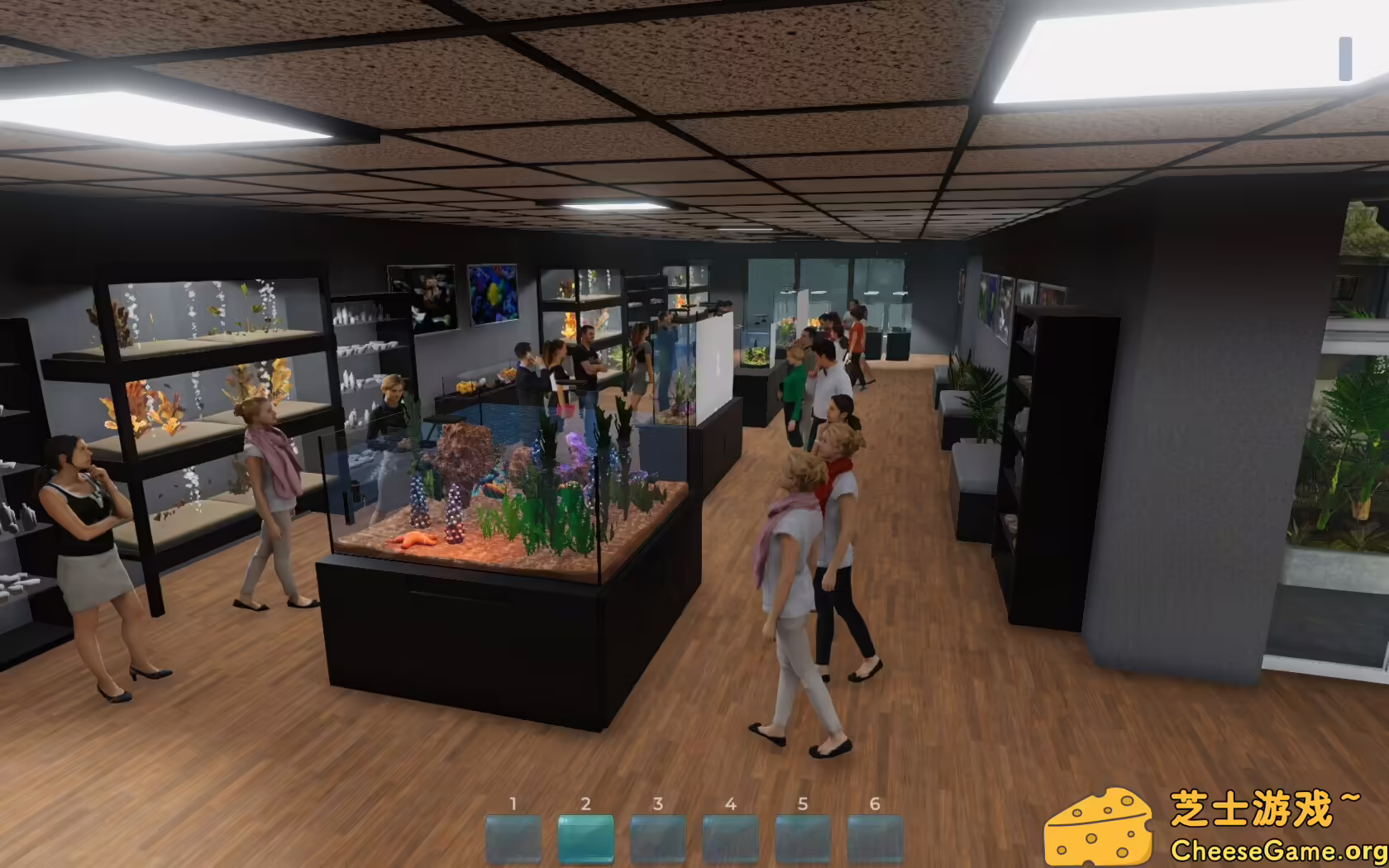 [PC]Aquarist - 建造水族馆，养鱼，发展你的事业！